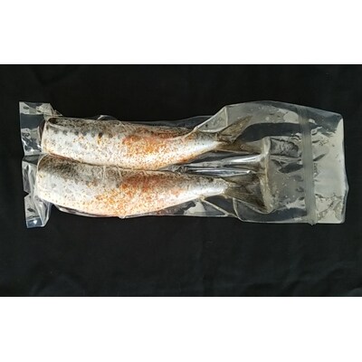 【大任町】国産生いわし使用 いわし明太(3Lサイズ)8尾