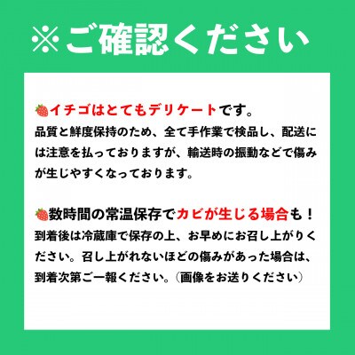【11月下旬より順次発送】福岡産冬あまおう 約250g×2パック(大任町)
