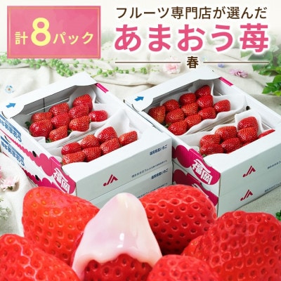 【2026年発送先行受付】福岡産春あまおう 約250g×8パック(大任町)
