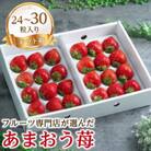 【11月下旬より順次発送】福岡産あまおうギフト箱(24-30粒)(大任町)
