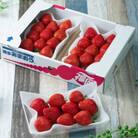 【2026年発送先行受付】春にお届け!丁度いい!福岡産はるあまおう3パック(大任町)