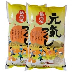 【令和4年産】福岡県産ブランド米「元気つくし」無洗米10kg(5kg×2袋)(大任町)