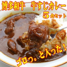 博多和牛 牛すじカレー5食セット じっくり煮込んだバリうま!ゴロッと入ったコラーゲン(大任町)