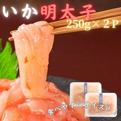 【博多の珍味】いか明太子(250g×2p)(大任町)
