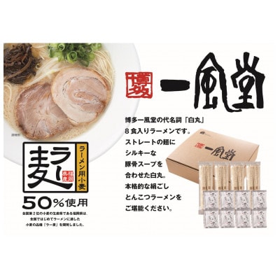 ラー麦使用「一風堂」とんこつラーメン 白丸(8食)【ホットもやしソース付き】(大任町)