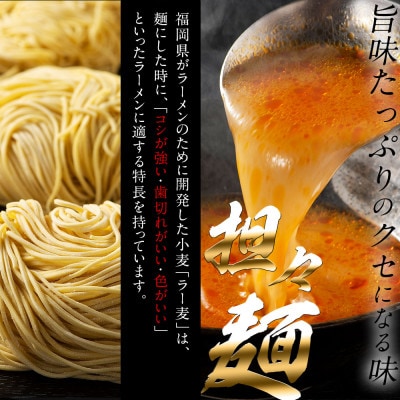 福岡県産ラー麦麺×5種類のスープ食べ比べセット15人前!(豚骨・醤油・塩・味噌・担々麺)(大任町)