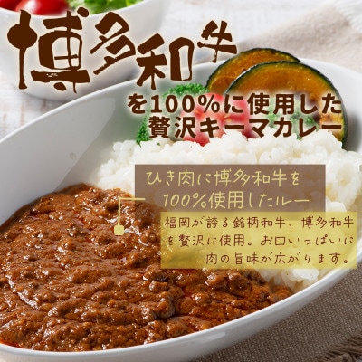 100%博多和牛のキーマカレー (180g×3パック)(大任町)