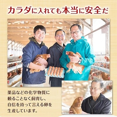 こだわりタマゴ　「康卵」　200個セット