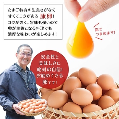こだわりタマゴ　「康卵」　200個セット
