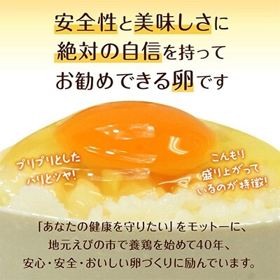 えびのの大自然で育ったこだわりタマゴ「康卵」Mサイズ(180個)