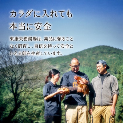 霧島山麓育ち こだわり卵 康卵 計20個(18個+割れ保証 2個)