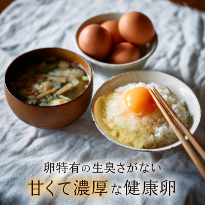 霧島山麓育ち こだわり卵 康卵 計30個(27個+割れ保証 3個)