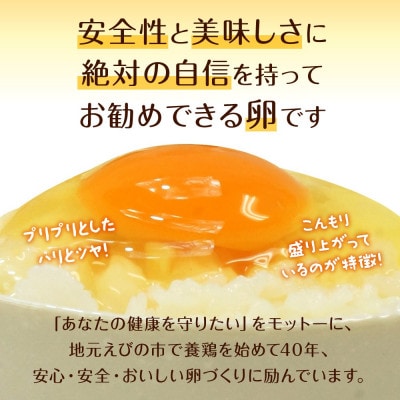 【わけあり】霧島山麓育ち こだわり卵 康卵 Mサイズ 計90個(80個+割れ保証 10個)