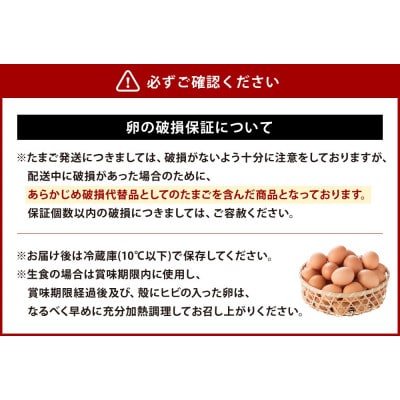 【わけあり】霧島山麓育ち こだわり卵 康卵 Mサイズ 計90個(80個+割れ保証 10個)