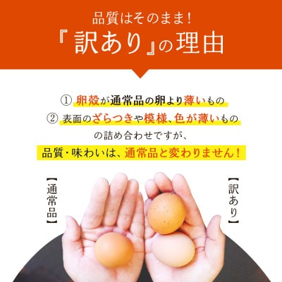 わけありたまご「康卵」MSサイズ 50個 (45個+割れ保証5個)