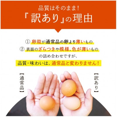 【毎月定期便】わけありたまご「康卵」Mサイズ 50個 (45個+割れ保証5個)全3回
