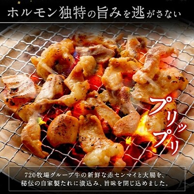 【720牧場グループ牛】味付ホルモン(200g×8パック)