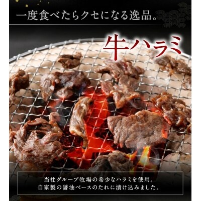 【720牧場グループ牛】国内産　味付ハラミ(200g×8パック)