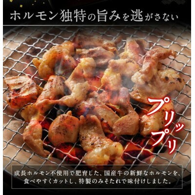720牧場グループ牛　味付ホルモン6パックセット　合計1.2kg