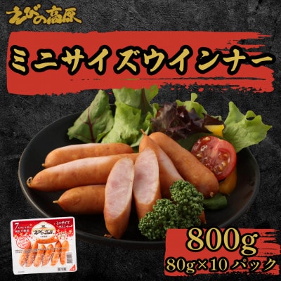 えびの高原 ミニサイズウインナー10パックセット 合計800g