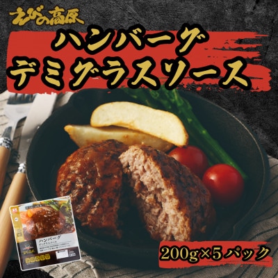 えびの高原 ハンバーグデミグラスソース5個セット 合計1kg