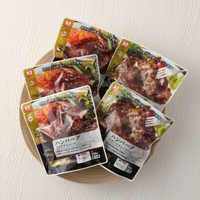 えびの高原 惣菜ハンバーグ食べ比べセット 合計1kg