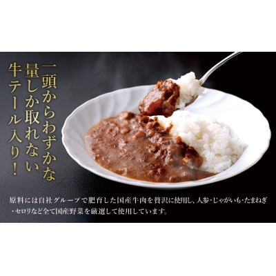 牛テールカレーセット 冷凍(200g×10パック 計 2,000g)
