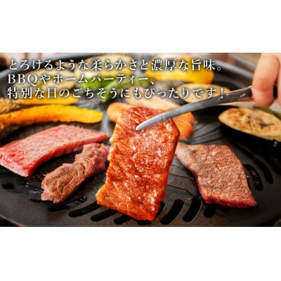 宮崎県産 黒牛 焼肉セット 肩ロース ミスジ 2点盛り 560g(280g×2パック)