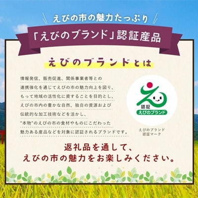 民芸陶器えびの焼「ビアカップ」