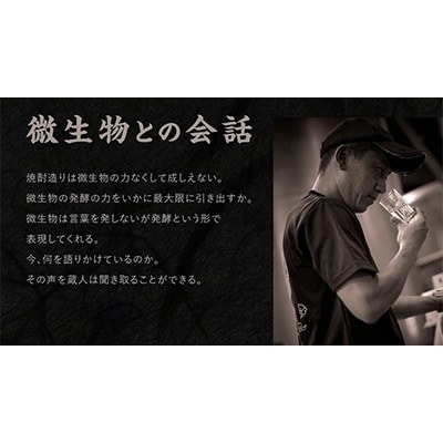 【宮崎焼酎】本格芋焼酎6種類飲み比べセット(N)1800ml×各1 計6本(オリジナル前掛け付)