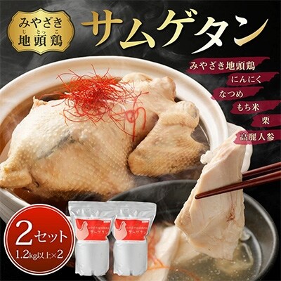 みやざき地頭鶏サムゲタン【1.2kg以上】2セット