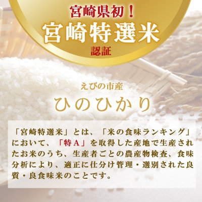 【令和6年産】えびの産ひのひかり　5kg・化粧箱付き