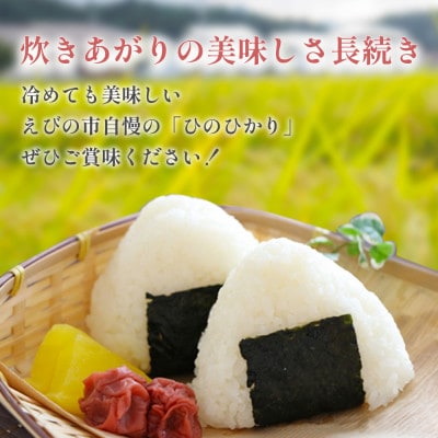 【令和6年産】えびの産ひのひかり　5kg・化粧箱付き