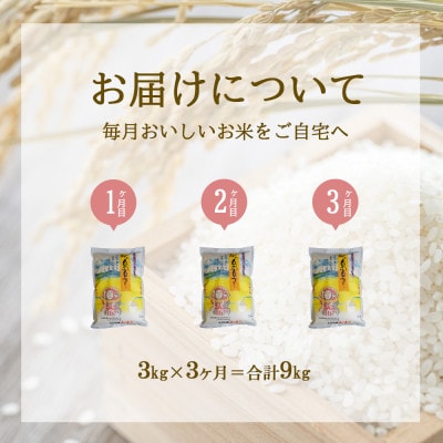 【毎月定期便】えびの産 ひのひかり 3kg全3回