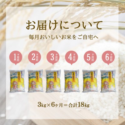 【毎月定期便】えびの産 ひのひかり 3kg全6回