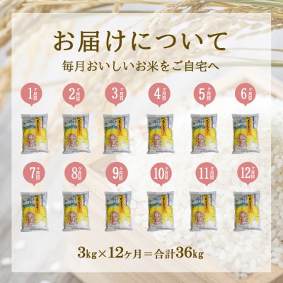 【毎月定期便】えびの産 ひのひかり 3kg全12回