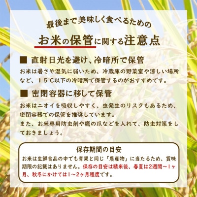 【毎月定期便】えびの産 ひのひかり 3kg全12回