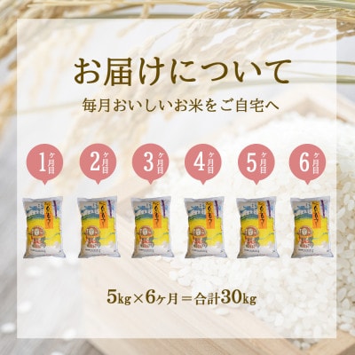 【毎月定期便】えびの産 ひのひかり 5kg全6回