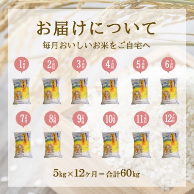 【毎月定期便】えびの産 ひのひかり 5kg全12回