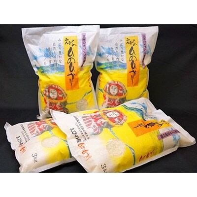 2020年8月発送開始『定期便』【令和元年産】えびの産ひのひかり 12kg 全12回