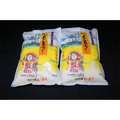 2024年3月発送開始『定期便』えびの産ひのひかり 6kg　全6回