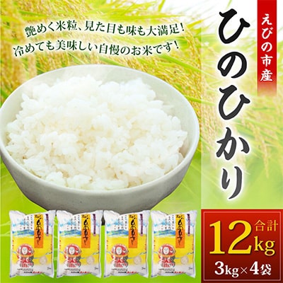 2024年3月発送開始『定期便』えびの産ひのひかり 12kg　全6回