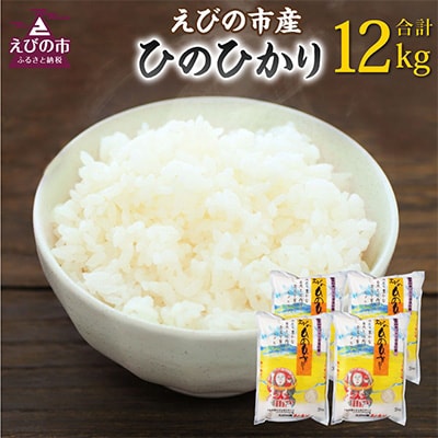 2024年3月発送開始『定期便』えびの産ひのひかり 12kg　全6回
