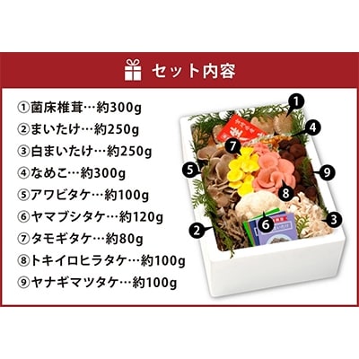 生きのこ詰合せ「きのこづくし」