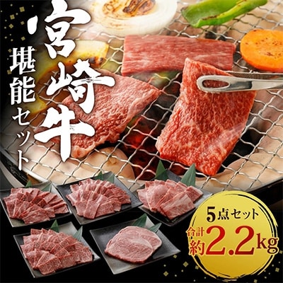 宮崎牛堪能セット(2.2kg)