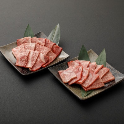 宮崎牛焼肉2点セット(もも焼肉・肩ロース焼肉)