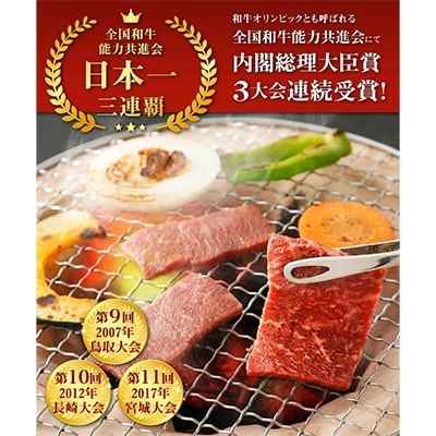 宮崎牛焼肉2点セット(もも焼肉・肩ロース焼肉)