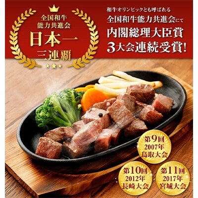 宮崎牛サイコロステーキ・焼肉セット(ももサイコロステーキ・ロース焼肉)