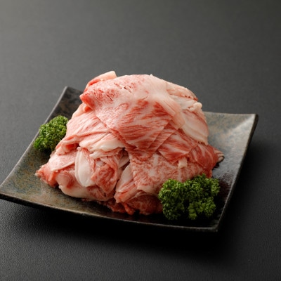 【宮崎県産】　黒毛和牛4等級以上使用　小間切れ500g