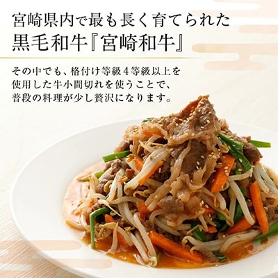 【宮崎県産】　黒毛和牛4等級以上使用　小間切れ500g×2P